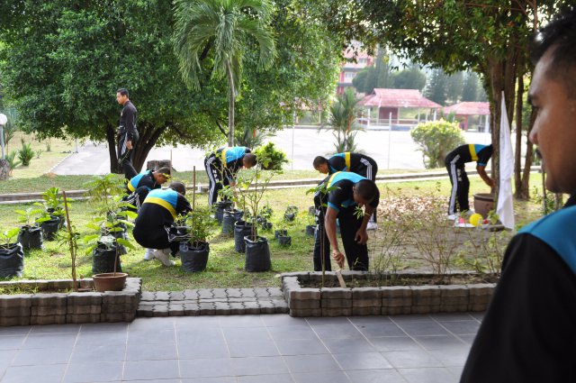 Program Latihan Dalam Kumpulan